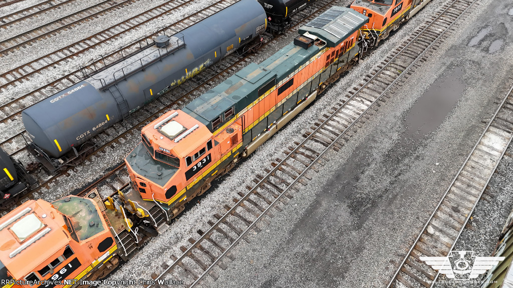 NS 3931
